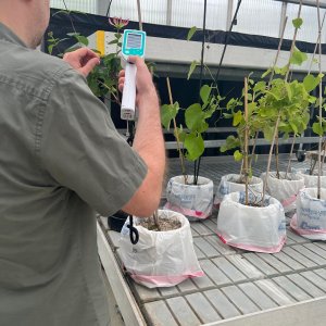 Untersuchungen an der BOKU.